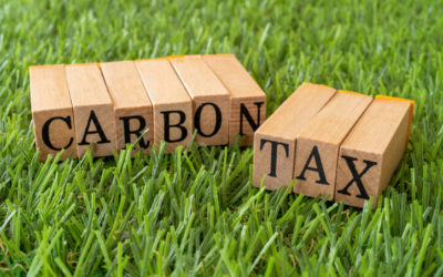 Will cutting the “Green Levy” lower energy rates? and will it benefit small businesses ?